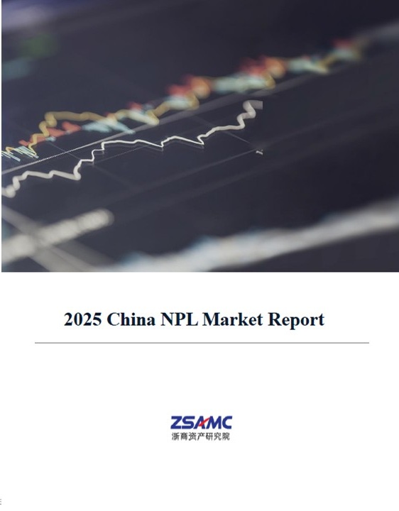 China NPL Market Report 2025: Key Trends and Insights